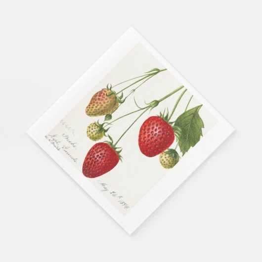 Vintage Erdbeere Serviette (Ecke)