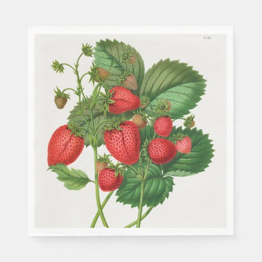 Vintage Erdbeere Serviette (Vorderseite)