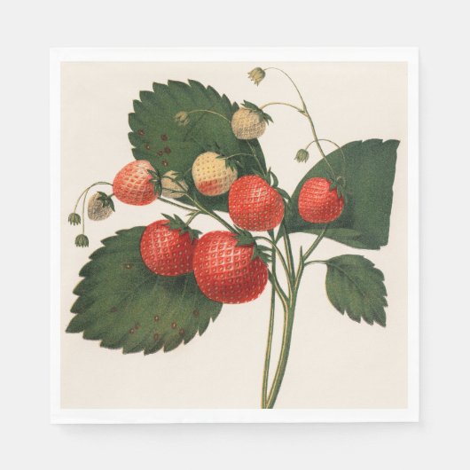 Vintage Erdbeere Serviette (Vorderseite)