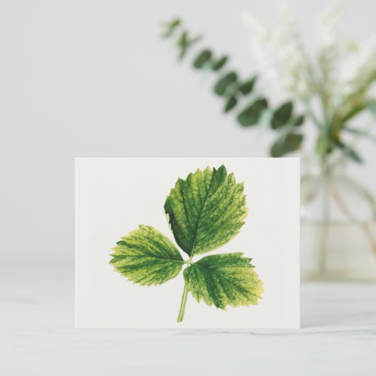 Vintage Erdbeeren Blätter Aquarellmalerei Postkarte (Stehend Vorderseite)