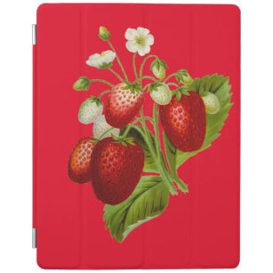 Vintage Erdbeeren Botanische Illustration iPad Hülle