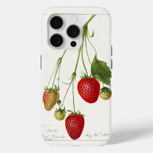 Vintage Erdbeeren Case-Mate iPhone Hülle (Rückseite)