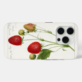 Vintage Erdbeeren Case-Mate iPhone Hülle (Rückseite (Horizontal))