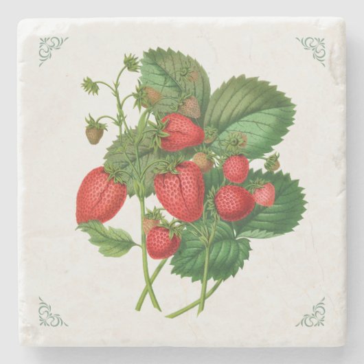 Vintage-Erdbeeren-Fruchtillustration Steinuntersetzer (Vorderseite)