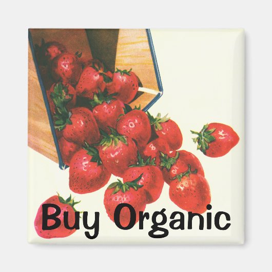 Vintage Erdbeeren in Körben, Obstbeeren Magnet (Vorne)