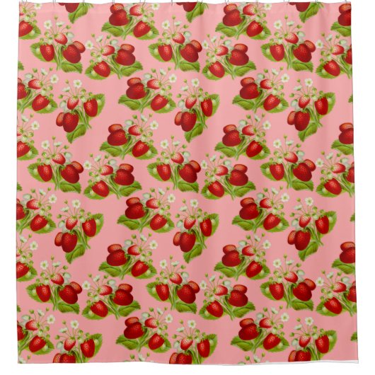 Vintage Erdbeeren mit Kernbrennstoff Rosa Erdbeere Duschvorhang (Vorderseite)