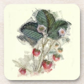 Vintage Erdbeeren-Pflanze Zeichnend Getränkeuntersetzer (Vorderseite)