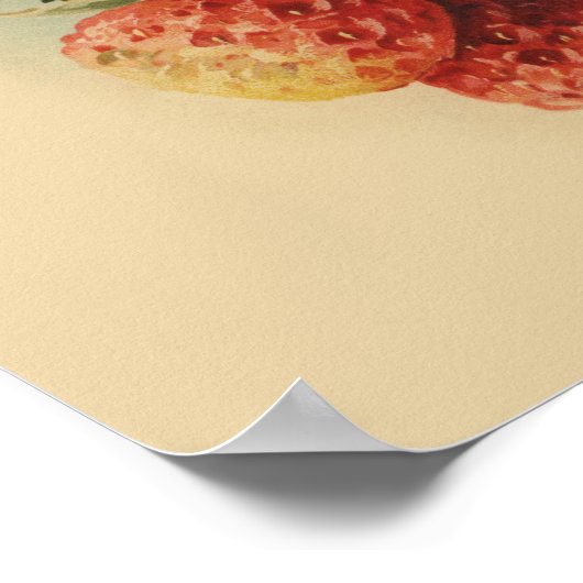 Vintage Erdbeeren Poster (Ecke)