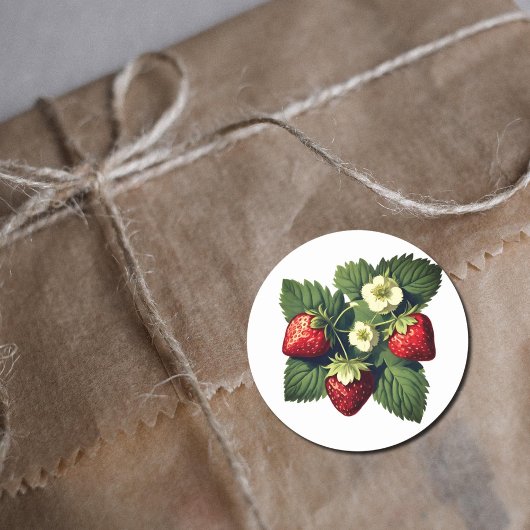 Vintage Erdbeeren Runder Aufkleber