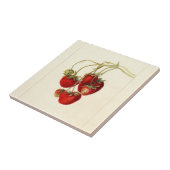 Vintage Erdbeeren Zeichnend Art Fliese (Seite)