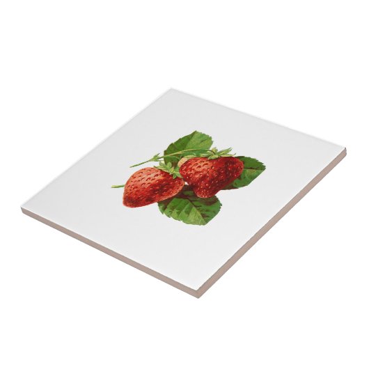 Vintage Erdbeerillustration Fliese (Seite)