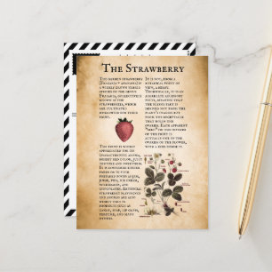 Vintage Erdbeerinformationen Postkarte