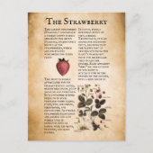 Vintage Erdbeerinformationen Postkarte (Vorderseite)