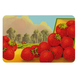 Vintage-Erdbeerkisten-Kunstmagnete Magnet