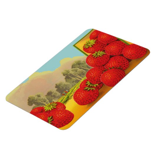 Vintage Erdbeermagnete Magnet (Linke Seite)