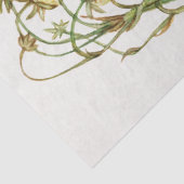 Vintage Erdbeerzweigung Seidenpapier (Detail)