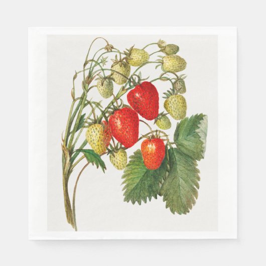 Vintage Erdbeerzweigung Serviette (Vorderseite)