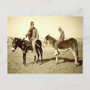 Vintage Erkundungen Algeriens auf einem Esel Postkarte