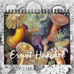 Vintage Ernst Haeckel, Biologie, Botanik, Wissensc Kalender