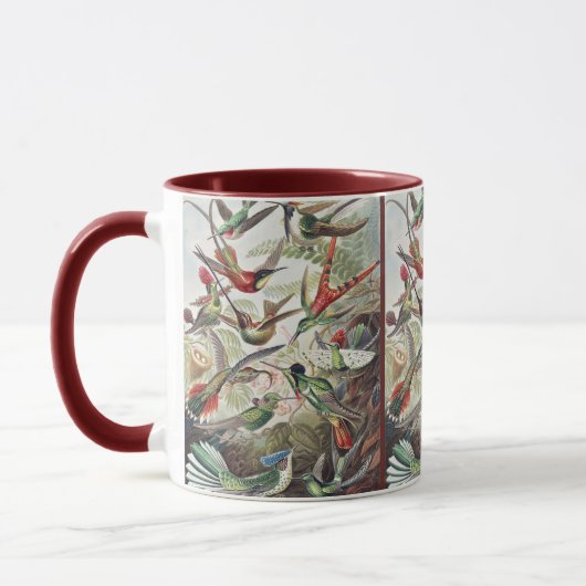 Vintage Ernst Haeckel Colorful Hummingbird Poster Tasse (Links)