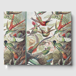 Vintage Ernst Haeckel Farbposter Kolibri Gästebuch