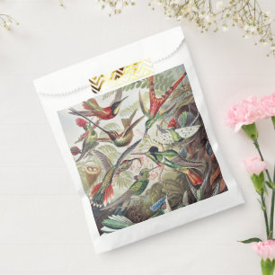 Vintage Ernst Haeckel Farbposter Kolibri Geschenktütchen
