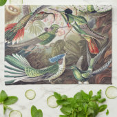 Vintage Ernst Haeckel Farbposter Kolibri Geschirrtuch (Gefaltet)