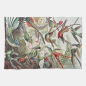 Vintage Ernst Haeckel Farbposter Kolibri Geschirrtuch (Horizontal)