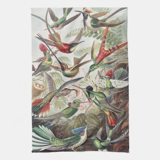 Vintage Ernst Haeckel Farbposter Kolibri Geschirrtuch (Vertikal)