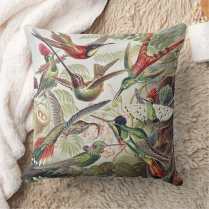Vintage Ernst Haeckel Farbposter Kolibri Kissen