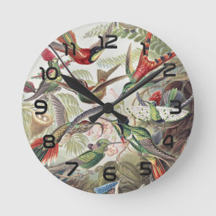 Vintage Ernst Haeckel Farbposter Kolibri Runde Wanduhr
