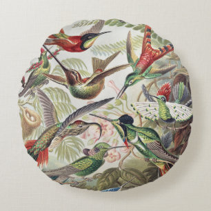 Vintage Ernst Haeckel Farbposter Kolibri Rundes Kissen