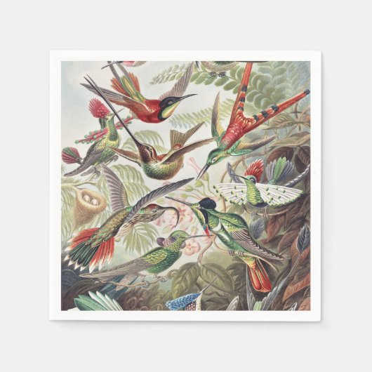 Vintage Ernst Haeckel Farbposter Kolibri Serviette (Vorderseite)