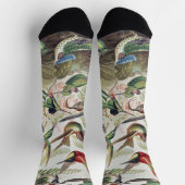 Vintage Ernst Haeckel Farbposter Kolibri Socken (Oben)
