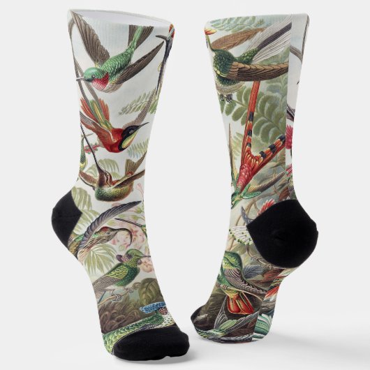 Vintage Ernst Haeckel Farbposter Kolibri Socken (Gewinkelt)