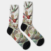 Vintage Ernst Haeckel Farbposter Kolibri Socken (Rechts)