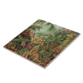 Vintage Ernst Haeckel Moose Fliese (Seite)
