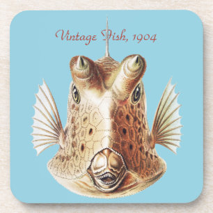 Vintage Ernst Haeckel Nautical Goldkuh Cowfish Kun Getränkeuntersetzer