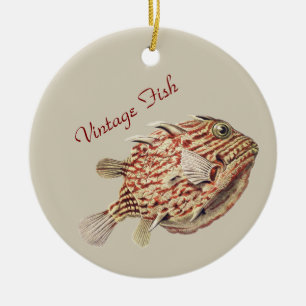 Vintage Ernst Haeckel Nautical Rote Kofferfisch Ku Keramik Ornament