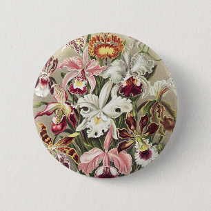 Vintage Ernst Haeckel Orchideen Botanischer Druck Button