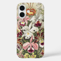 Vintage Ernst Haeckel Orchideen Botanischer Druck