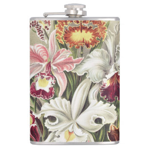 Vintage Ernst Haeckel Orchideen Botanischer Druck Flachmann
