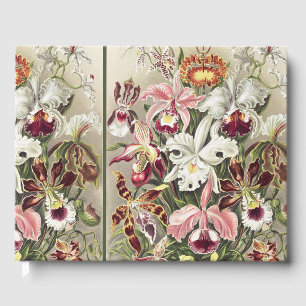 Vintage Ernst Haeckel Orchideen Botanischer Druck Gästebuch