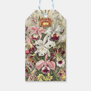 Vintage Ernst Haeckel Orchideen Botanischer Druck Geschenkanhänger
