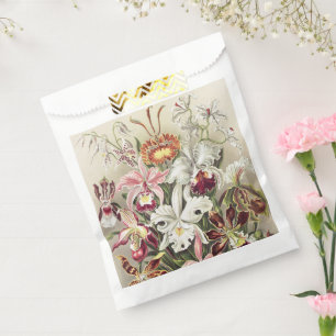 Vintage Ernst Haeckel Orchideen Botanischer Druck Geschenktütchen