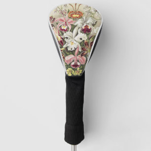 Vintage Ernst Haeckel Orchideen Botanischer Druck Golf Headcover