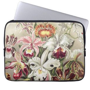 Vintage Ernst Haeckel Orchideen Botanischer Druck Laptopschutzhülle