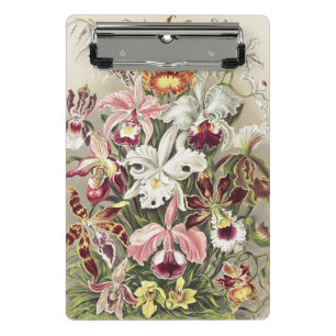 Vintage Ernst Haeckel Orchideen Botanischer Druck Mini Klemmbrett