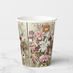 Vintage Ernst Haeckel Orchideen Botanischer Druck Pappbecher