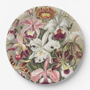 Vintage Ernst Haeckel Orchideen Botanischer Druck Pappteller